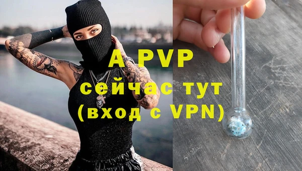 СК Осинники