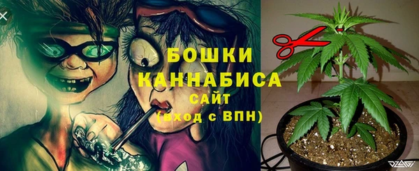 СК Осинники