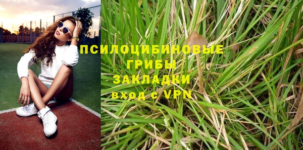 гидропоника Няндома