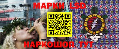 гидропоника Бузулук