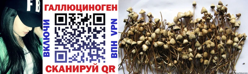 Галлюциногенные грибы прущие грибы  где можно купить наркотик  Заводоуковск 