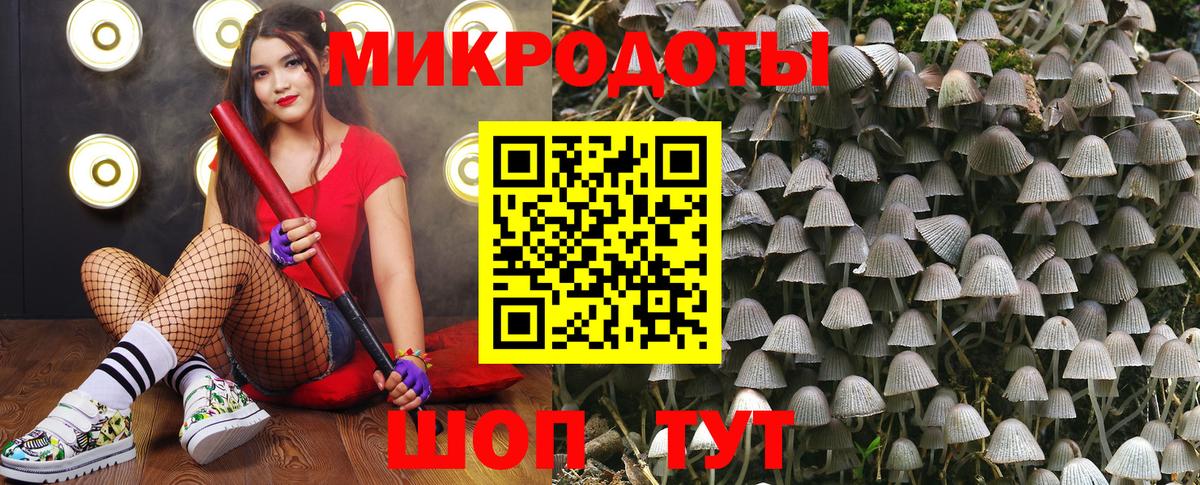 Псилоцибиновые грибы мухоморы  Вход с VPN  Заводоуковск 