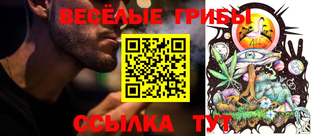 Галлюциногенные грибы Psilocybe Заводоуковск