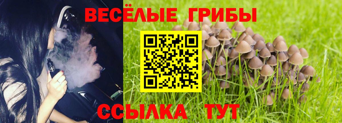 Галлюциногенные грибы Cubensis Заводоуковск