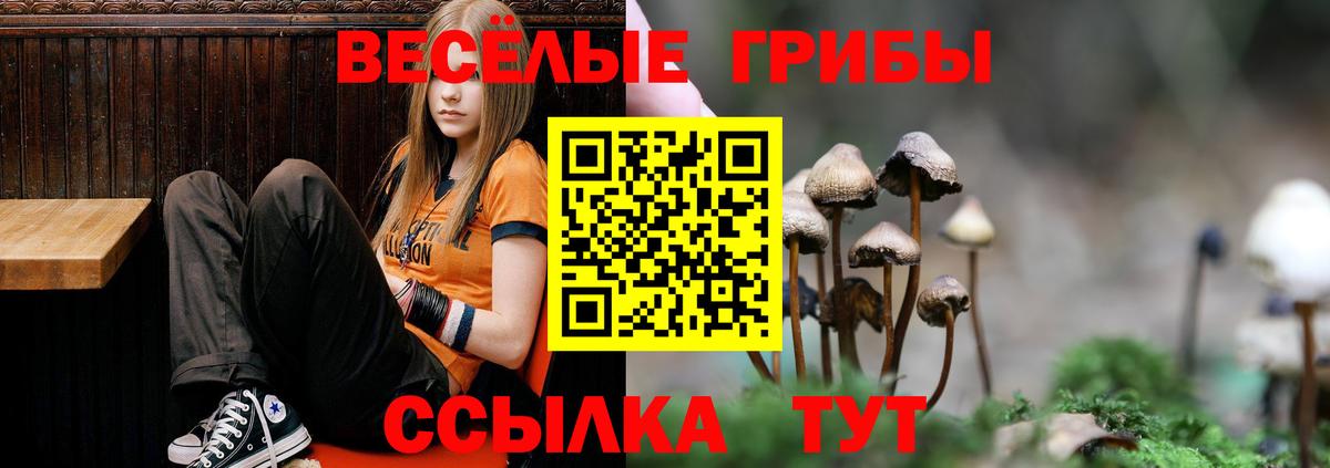 Псилоцибиновые грибы мухоморы  Заводоуковск  Псилоцибиновые грибы прущие грибы 