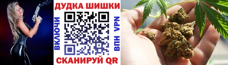 купить закладку  Заводоуковск  Конопля план 